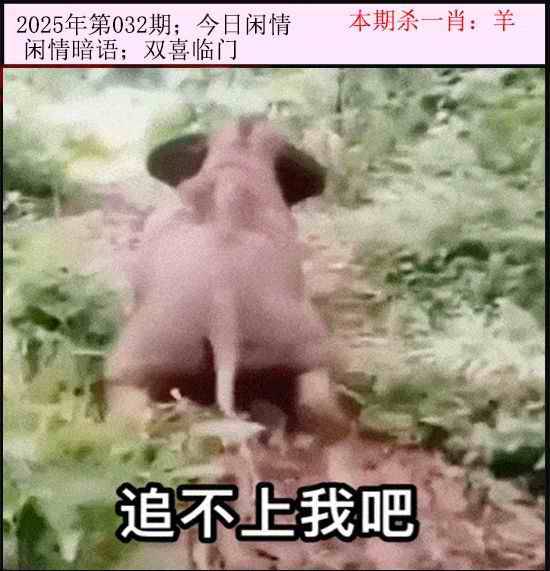 2025年032期 今日闲情
