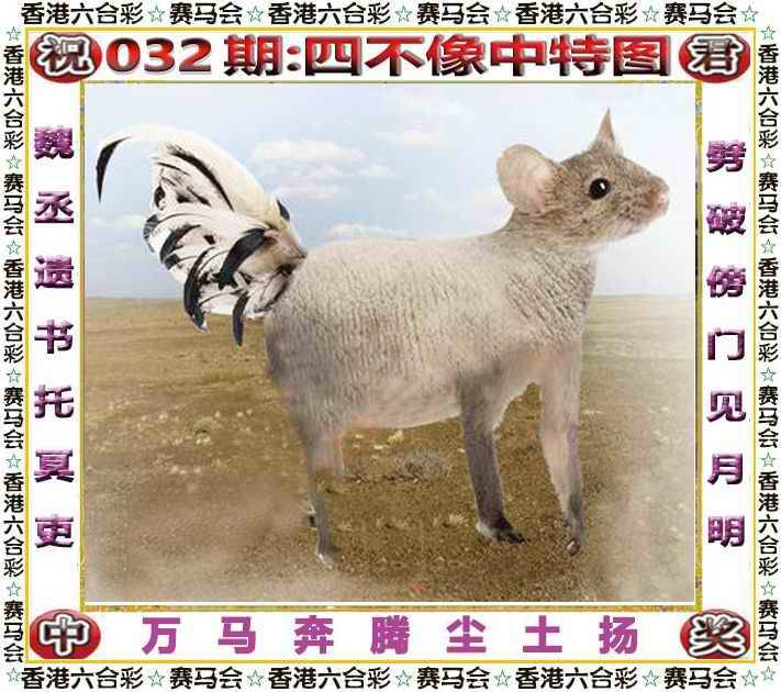 2025年032期 四不像中特图