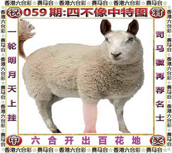 2025年059期 四不像中特图