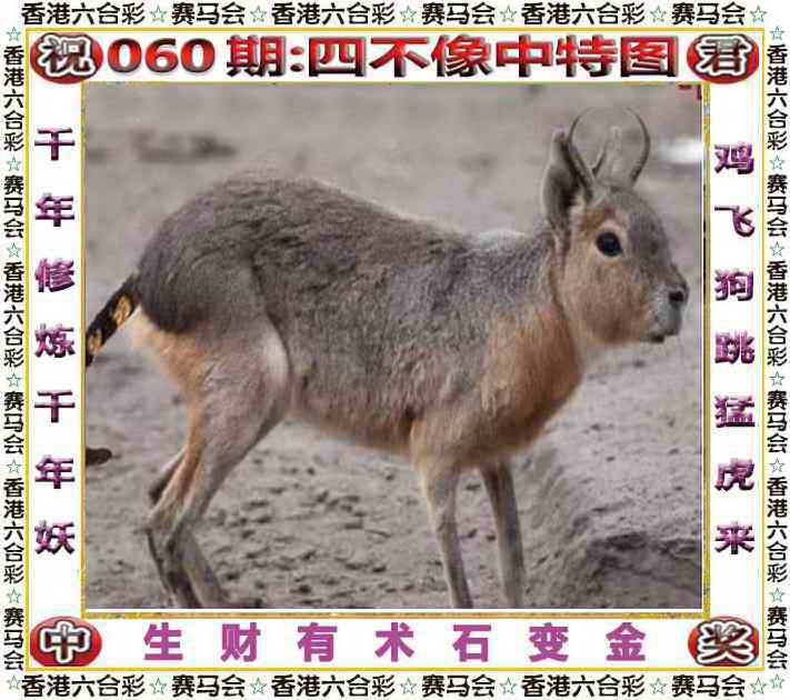 2025年060期 四不像中特图