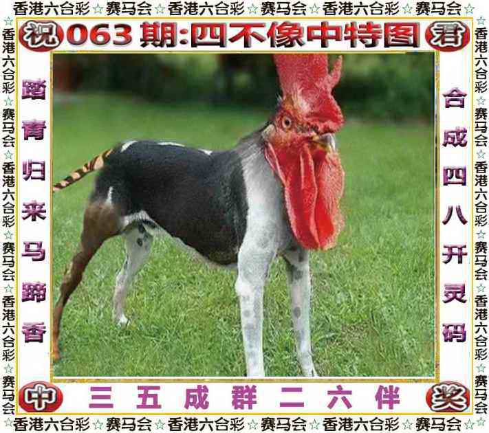 2025年063期 四不像中特图