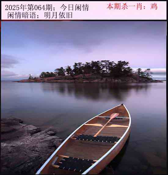 2025年064期 今日闲情