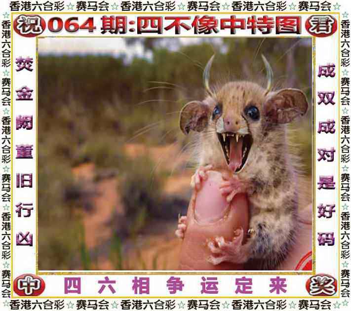 2025年064期 四不像中特图