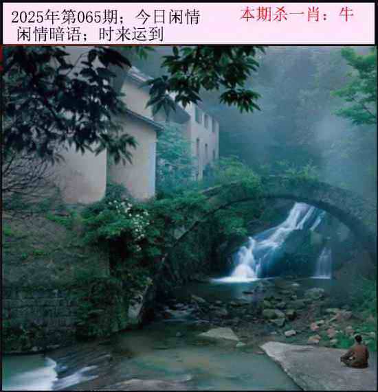 2025年065期 今日闲情