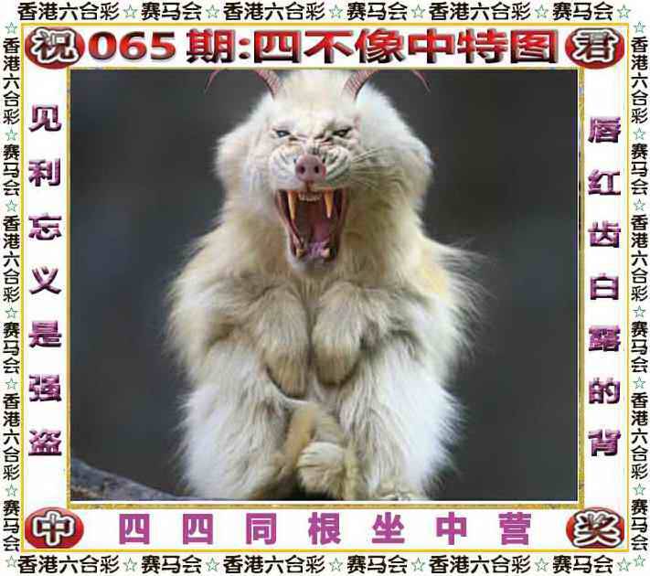 2025年065期 四不像中特图