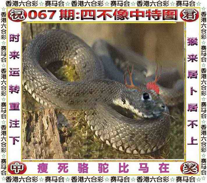 2025年067期 四不像中特图