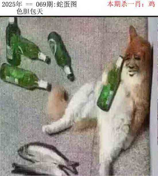 2025年069期 蛇蛋图