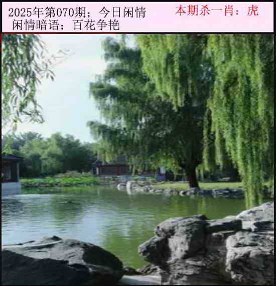 2025年070期 今日闲情