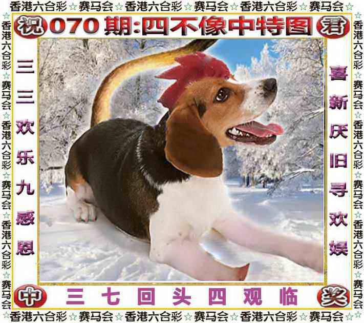 2025年070期 四不像中特图
