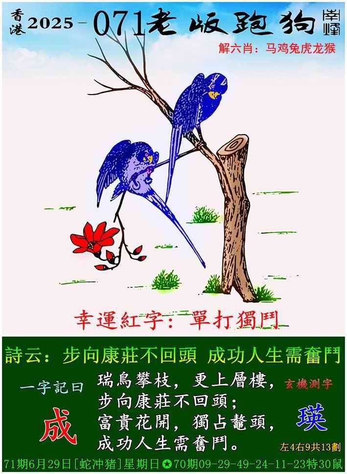 2025年071期 老版跑狗图