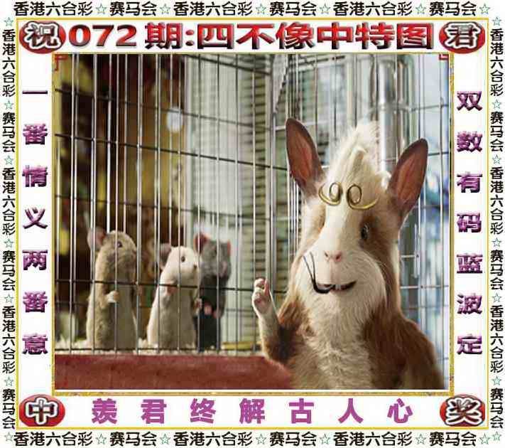2025年072期 四不像中特图