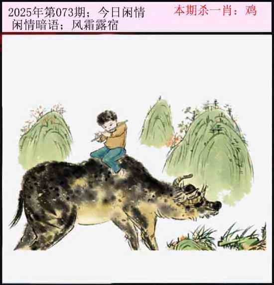 2025年073期 今日闲情