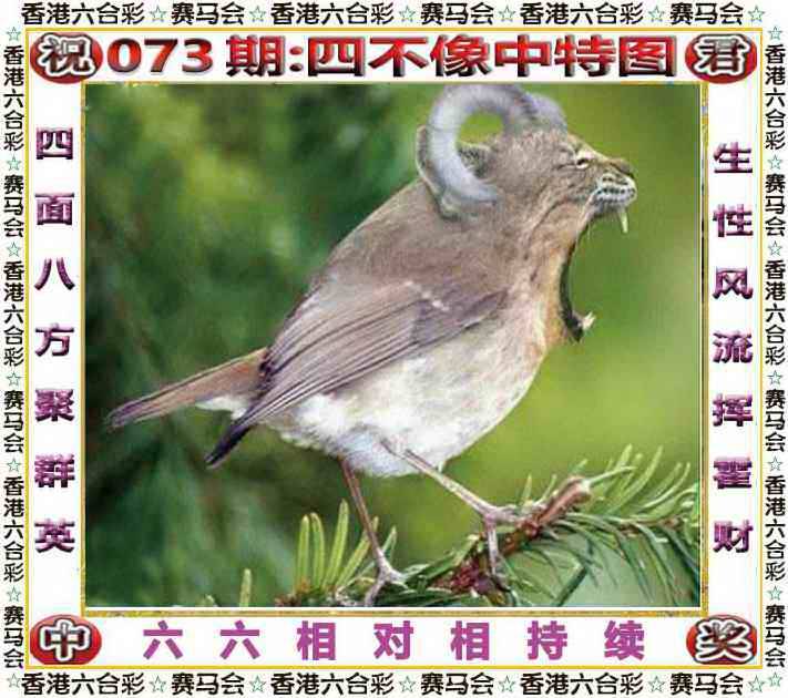 2025年073期 四不像中特图
