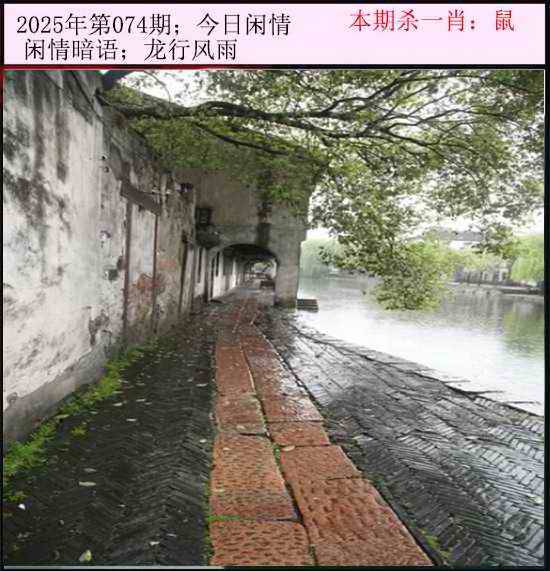 2025年074期 今日闲情