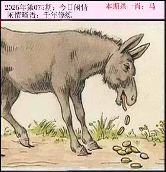 2025年075期 今日闲情