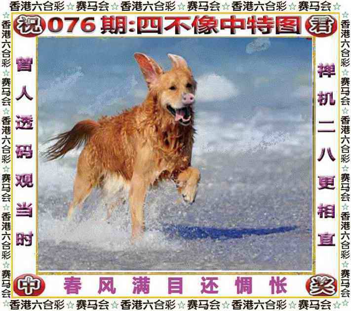 2025年076期 四不像中特图
