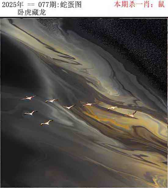 2025年077期 蛇蛋图