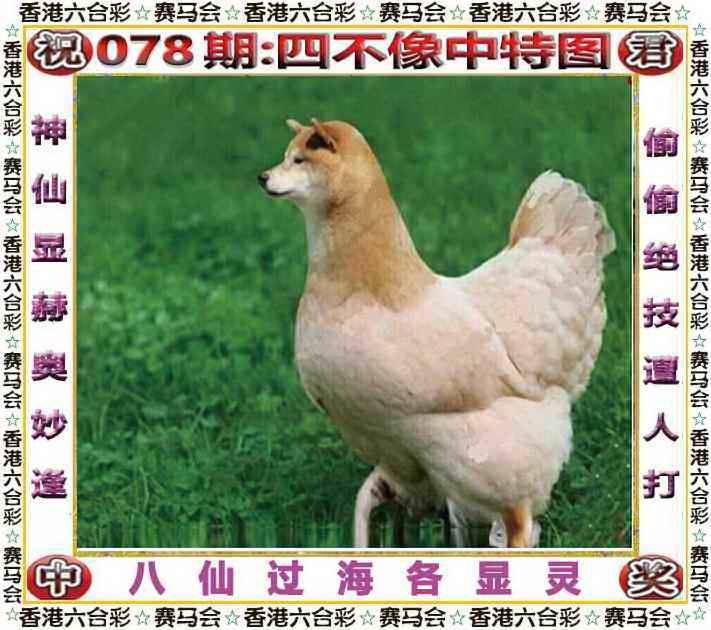 2025年078期 四不像中特图