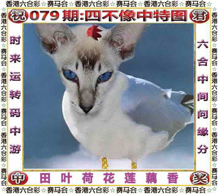 2025年079期 四不像中特图