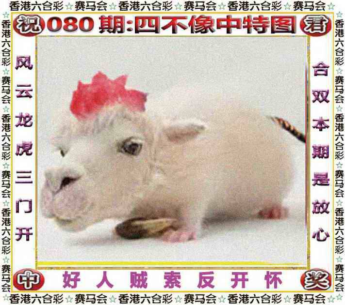 2025年080期 四不像中特图
