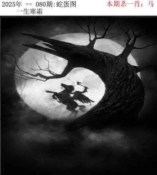 2025年080期 蛇蛋图