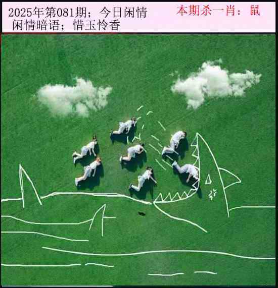 2025年081期 今日闲情