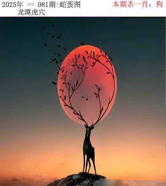 2025年081期 蛇蛋图