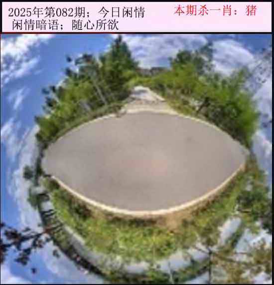 2025年082期 今日闲情