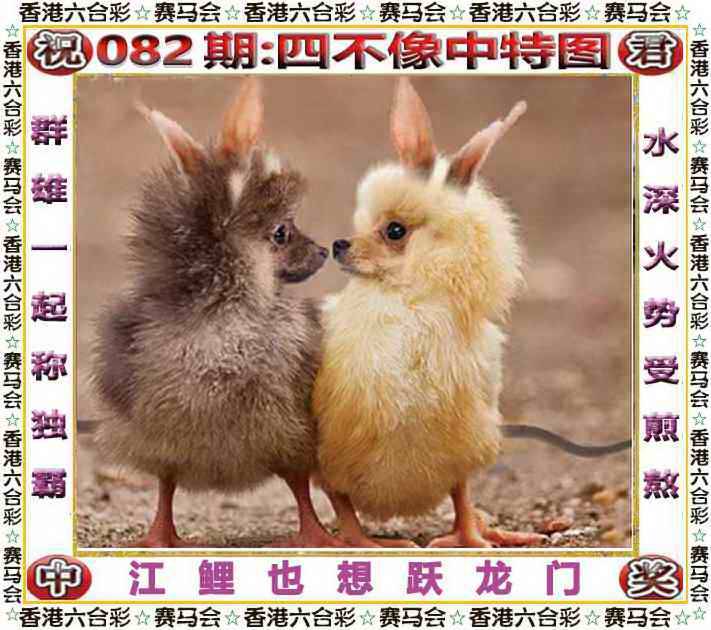 2025年082期 四不像中特图