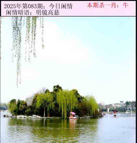 2025年083期 今日闲情