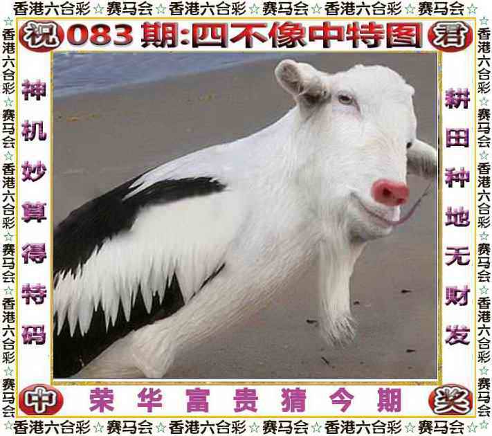 2025年083期 四不像中特图