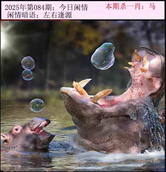 2025年084期 今日闲情