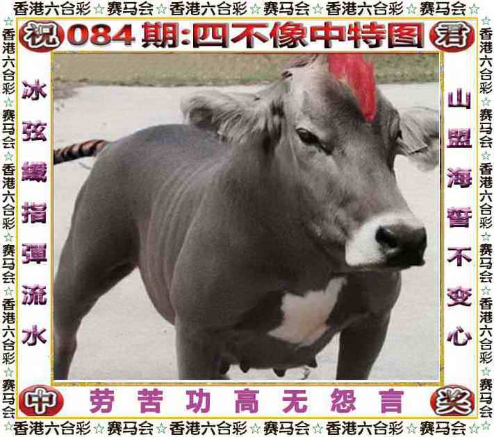 2025年084期 四不像中特图