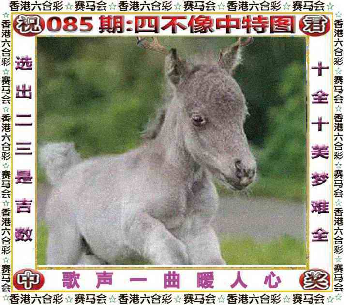 2025年085期 四不像中特图