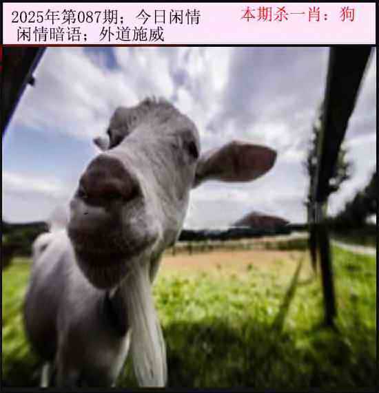 2025年087期 今日闲情