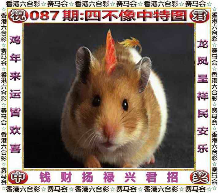 2025年087期 四不像中特图