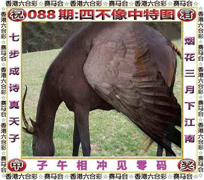 2025年088期 四不像中特图
