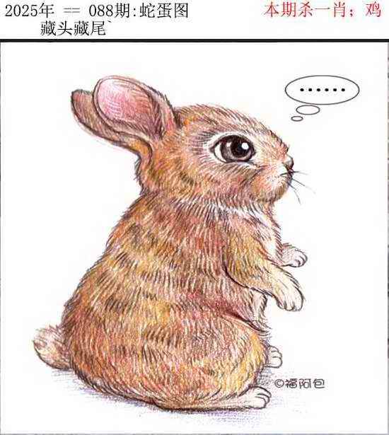 2025年088期 蛇蛋图