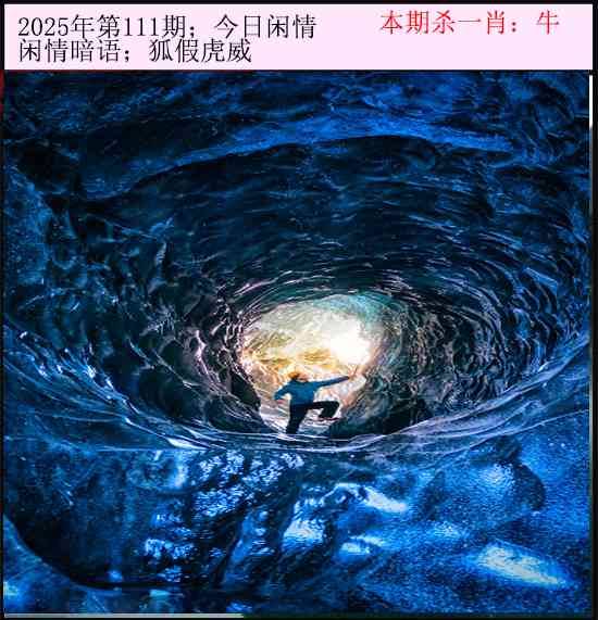 2025年111期 今日闲情