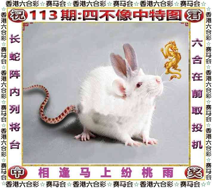 2025年113期 四不像中特图