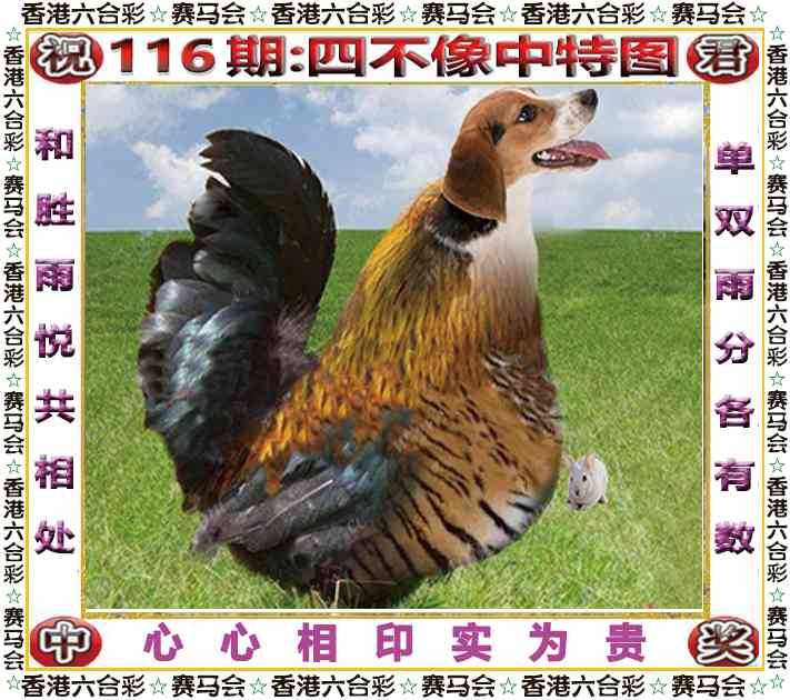 2025年116期 四不像中特图