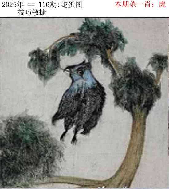 2025年116期 蛇蛋图