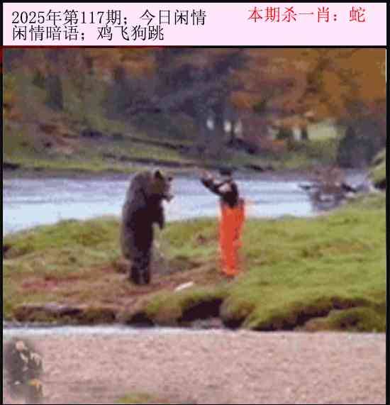 2025年117期 今日闲情