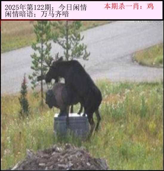 2025年122期 今日闲情