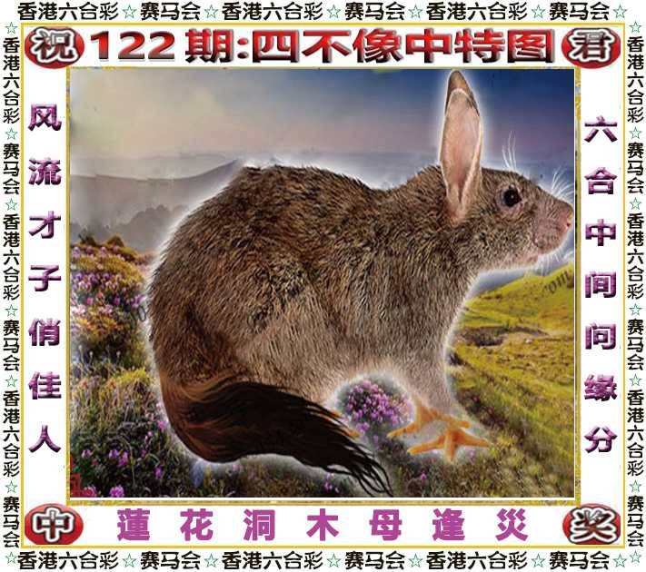 2025年122期 四不像中特图