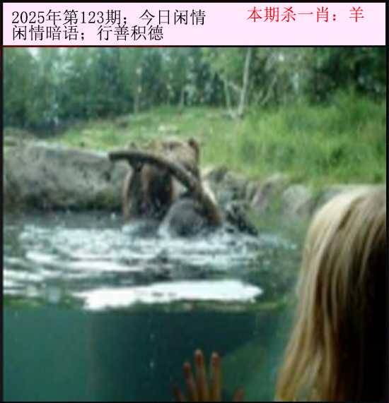 2025年123期 今日闲情