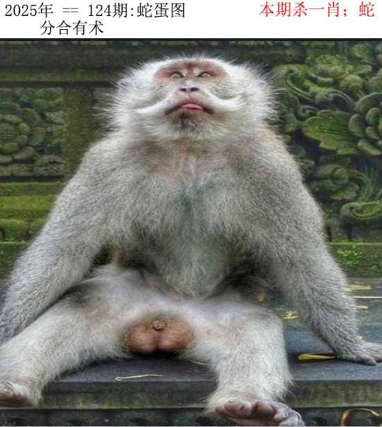 2025年124期 蛇蛋图