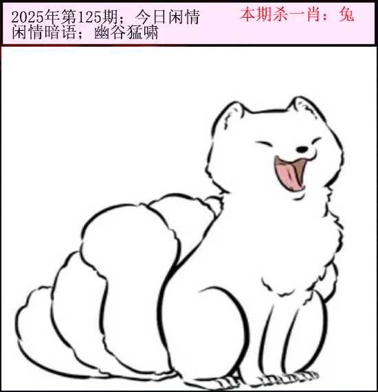 2025年125期 今日闲情