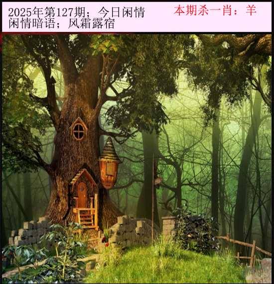 2025年127期 今日闲情