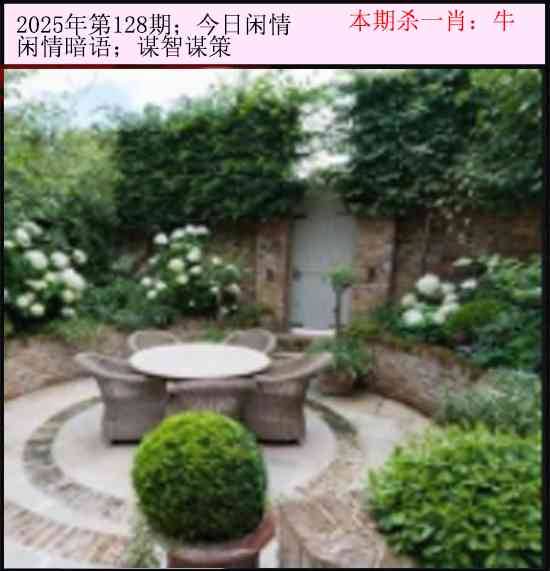 2025年128期 今日闲情